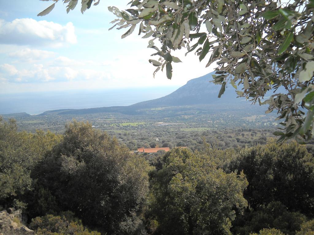 Agriturismo Su Tiresi Cala Gonone Exterior foto