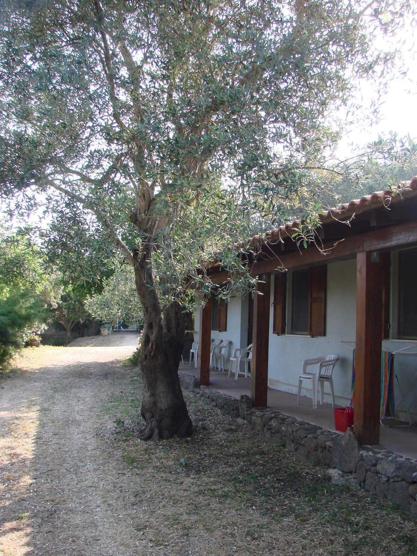 Agriturismo Su Tiresi Cala Gonone Exterior foto