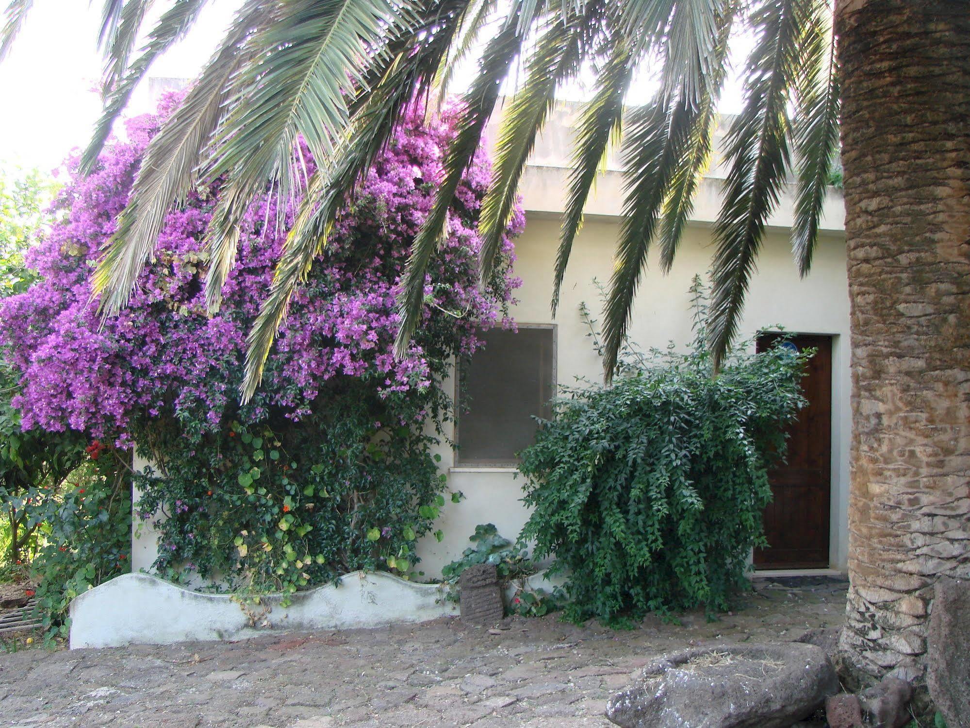 Agriturismo Su Tiresi Cala Gonone Exterior foto